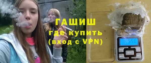 шишки Магас