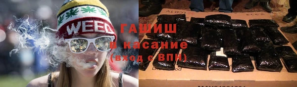 шишки Магас