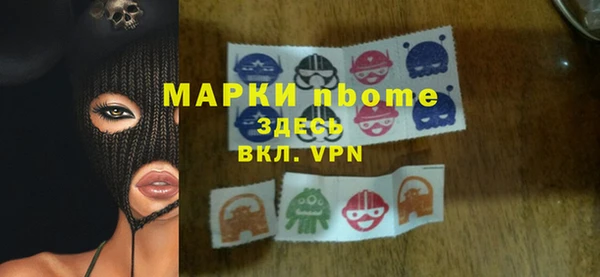 шишки Магас
