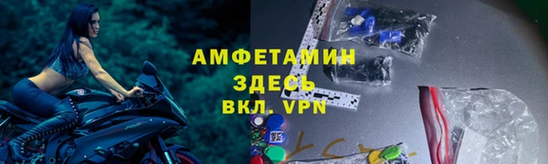 шишки Магас