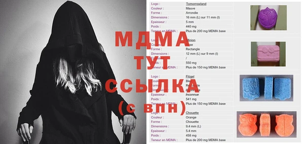 шишки Магас