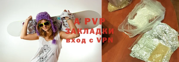 шишки Магас