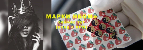 шишки Магас