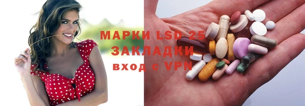 шишки Магас