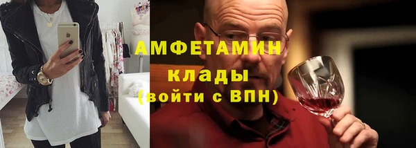 шишки Магас
