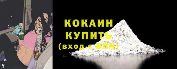шишки Магас