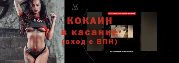 шишки Магас