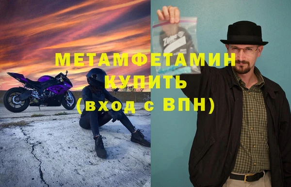 шишки Магас