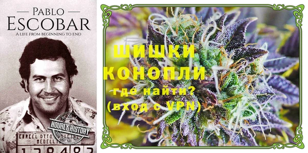 крисы Майский