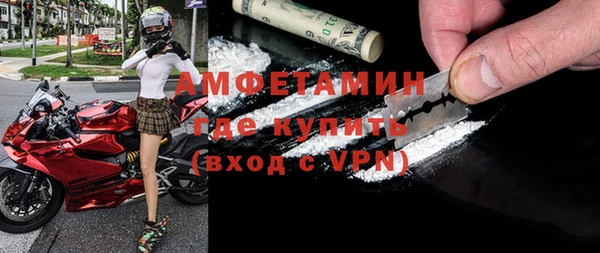 шишки Магас