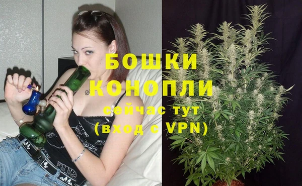 крисы Майский