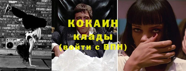 крисы Майский