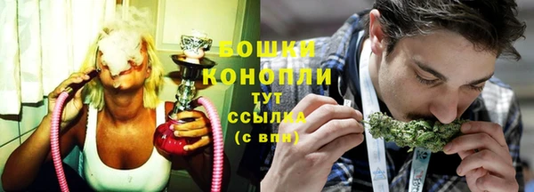 шишки Магас